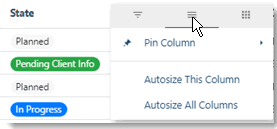 2115_New_Lists_Column_Heading_Pin_Autosize.gif