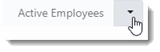 4185_Employees_List_View_Select.gif