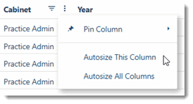4534_List_Autosize_Columns.gif