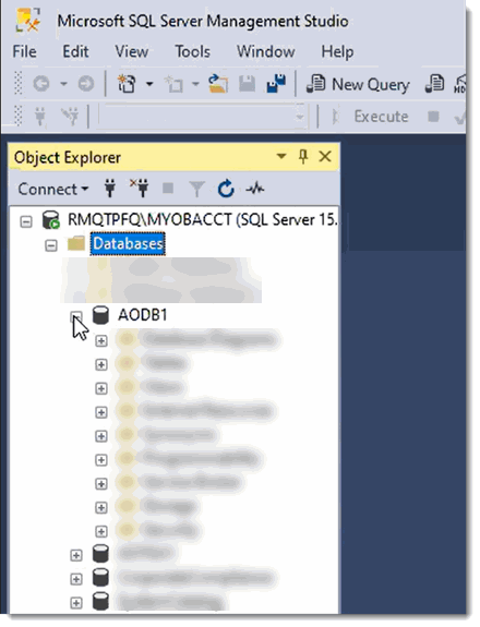 4547_MYOB_SQL_Studio.gif